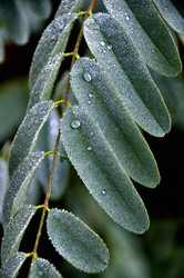 Similar image 875914