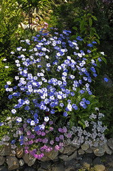 Similar image 875931