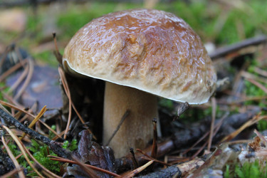 Similar image 875957