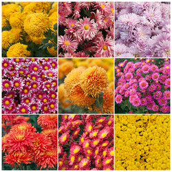 Similar image 876060