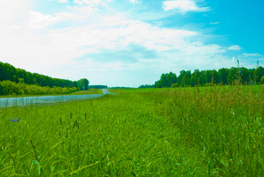 Similar image 876159