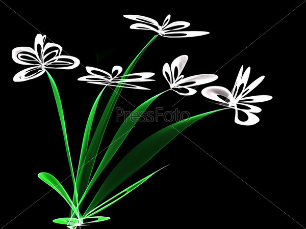 Фотография на тему Белые цветы на черном фоне. Векторный рисунок | PressFoto