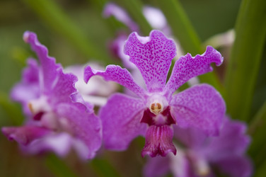 Similar image 876176