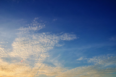 Similar image 876183