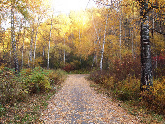 Similar image 876321