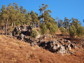 Similar image 876330