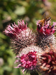 Similar image 876332