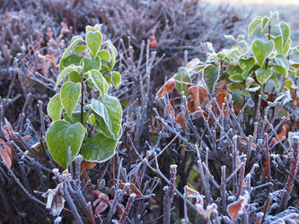 Similar image 876337