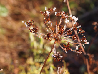 Similar image 876341