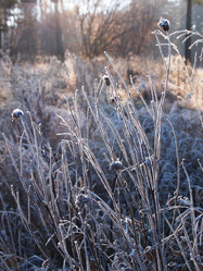 Similar image 876345