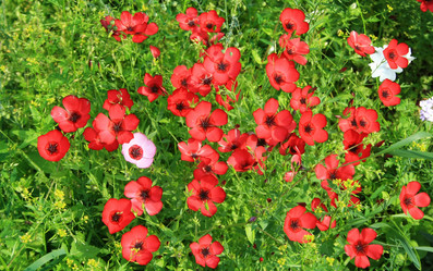 Similar image 876404