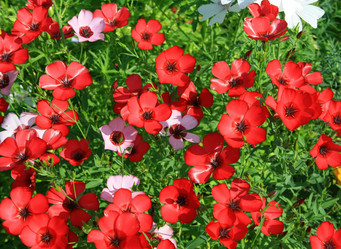 Similar image 876405