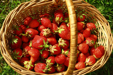 Similar image 876427