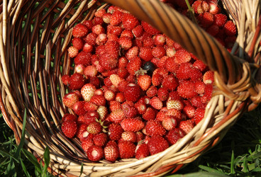 Similar image 876432