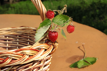 Similar image 876446