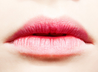 Similar image 876462