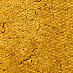 Similar image 876473