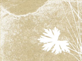 Similar image 876482