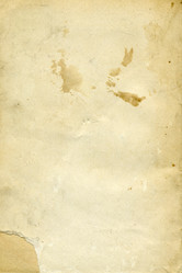 Similar image 876488