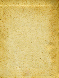 Similar image 876494