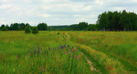 Similar image 876617