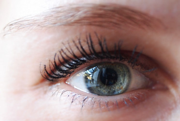 Similar image 876620