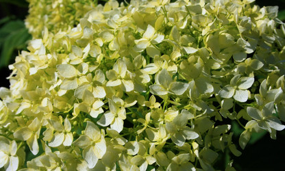 Similar image 876624