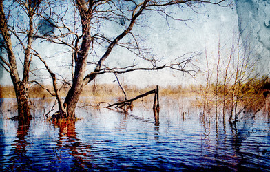 Similar image 876625