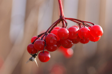 Similar image 876629