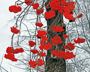 Similar image 876662