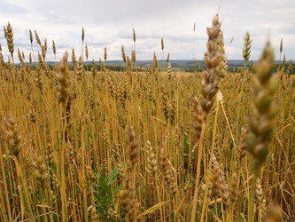 Similar image 876681