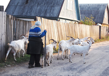 Similar image 876684