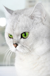 Similar image 876795