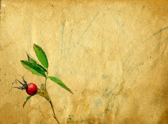 Similar image 876805