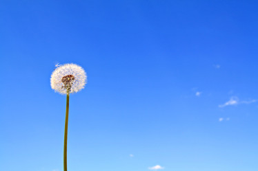 Similar image 876812