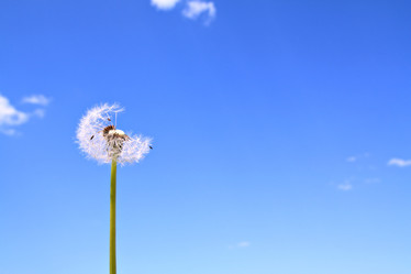 Similar image 876819