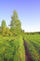 Similar image 876857