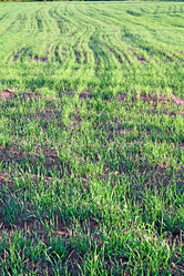 Similar image 876863