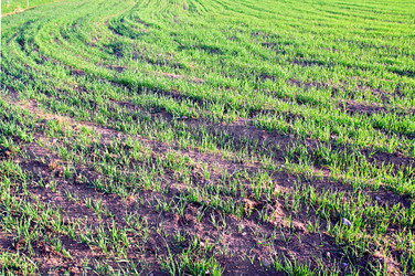 Similar image 876868