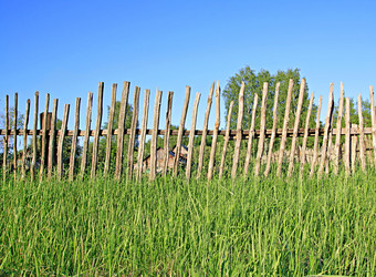 Similar image 876882