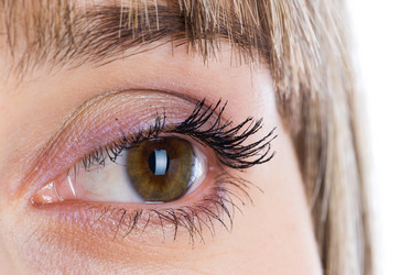 Similar image 876889