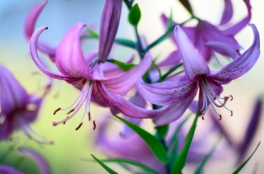 Similar image 876893