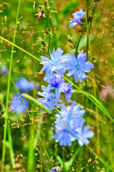 Similar image 876900