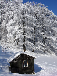 Similar image 876974