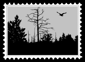 Similar image 877070