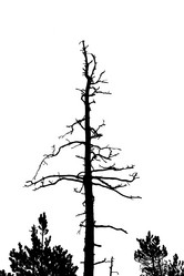 Similar image 877142