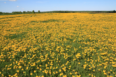 Similar image 877159