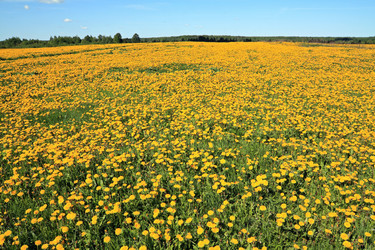 Similar image 877160