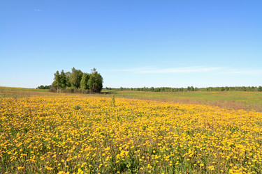 Similar image 877164