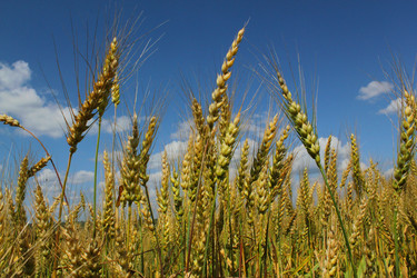 Similar image 877223